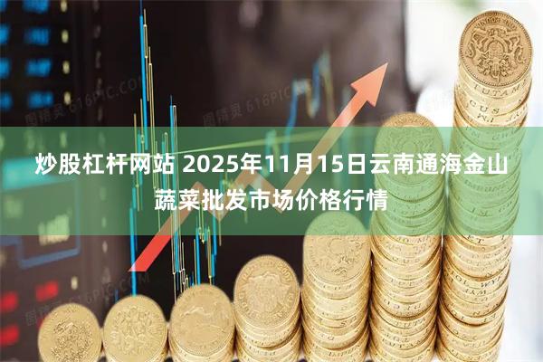 炒股杠杆网站 2025年11月15日云南通海金山蔬菜批发市场价格行情